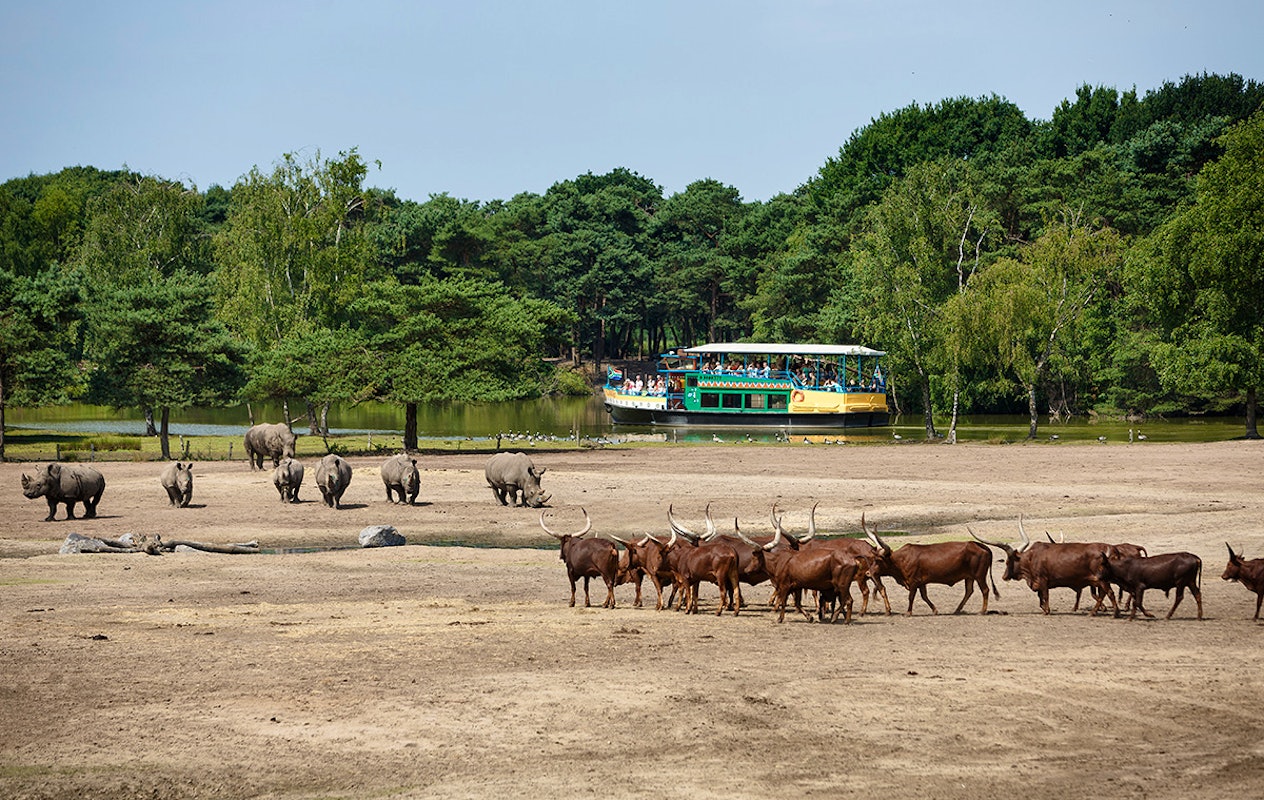 Entreeticket Safaripark Beekse Bergen