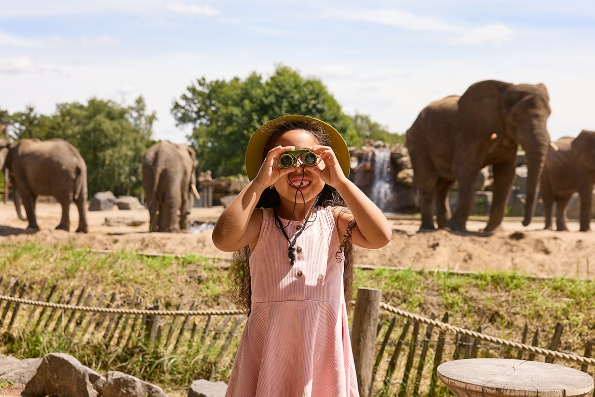 Entreeticket Safaripark Beekse Bergen