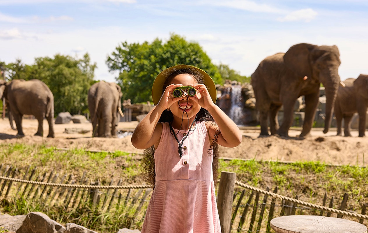 Entreeticket Safaripark Beekse Bergen