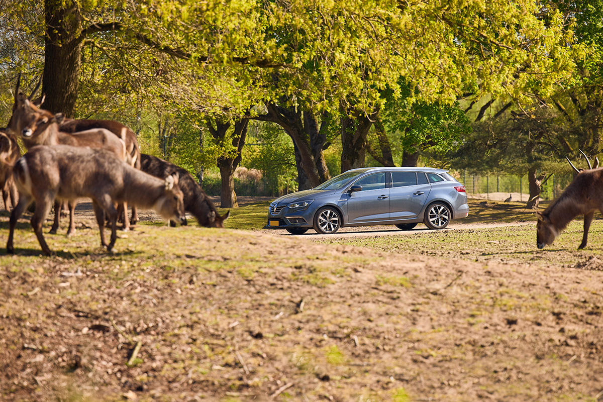 Entreeticket Safaripark Beekse Bergen