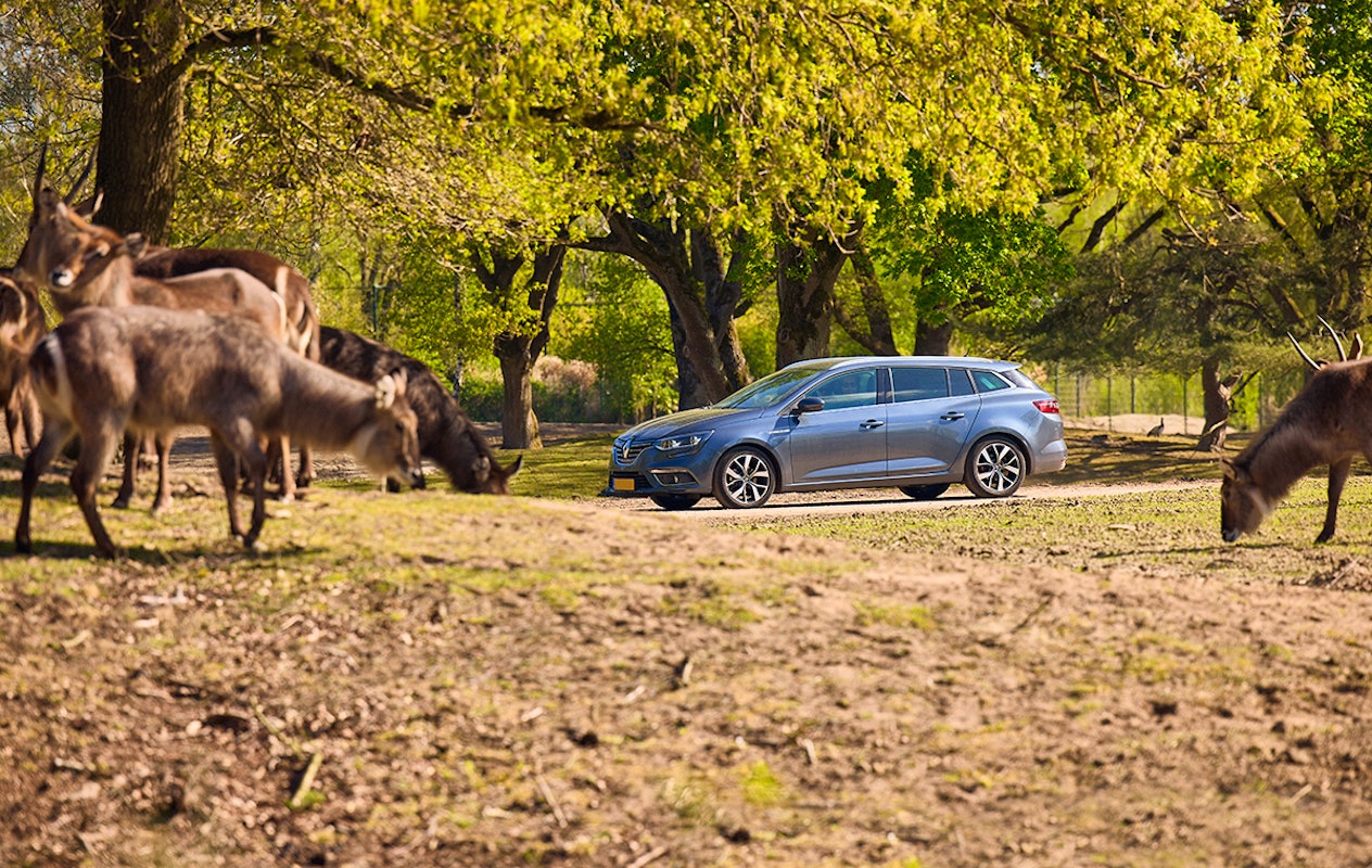 Entreeticket Safaripark Beekse Bergen