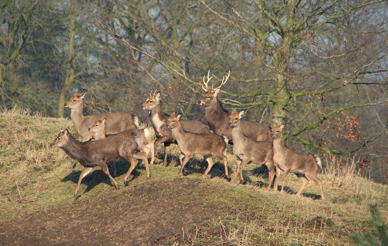 Dag of avondentree Sauna Drôme in Putten  
