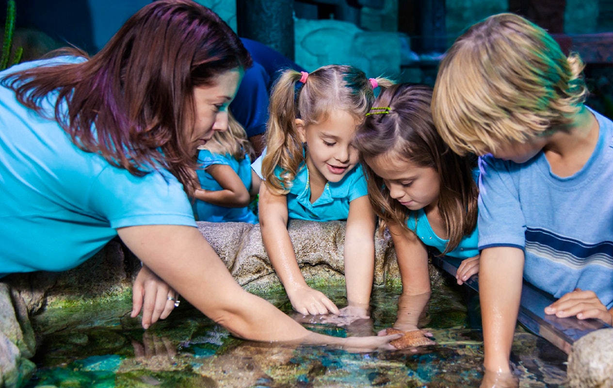Entreeticket SEA LIFE Scheveningen