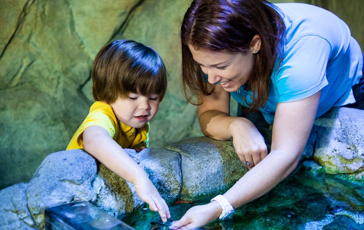 Entreeticket SEA LIFE Scheveningen