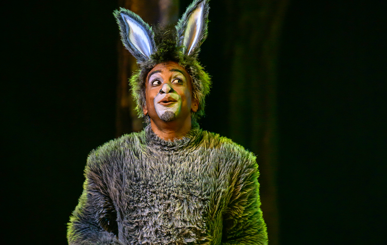1e of 2e rang ticket Shrek De Musical in RAI Amsterdam