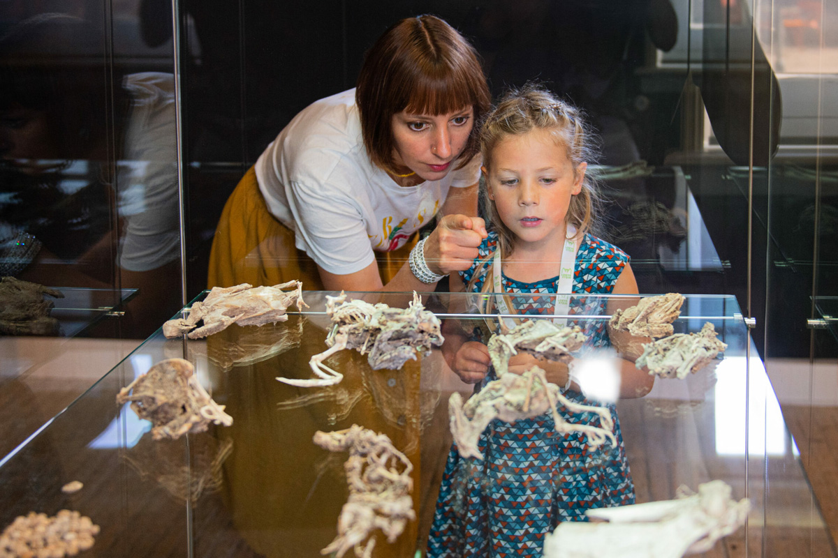 Entreeticket Slot Loevestein