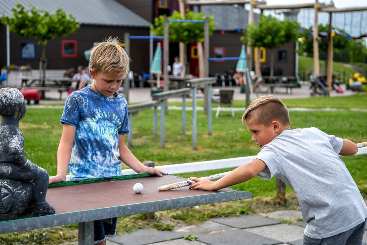 Entreeticket Speel en IJsboerderij De Drentse Koe
