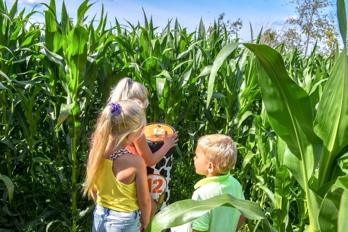 Entreeticket Speel en IJsboerderij De Drentse Koe