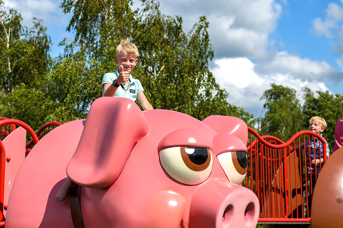 Entreeticket Speel en IJsboerderij De Drentse Koe