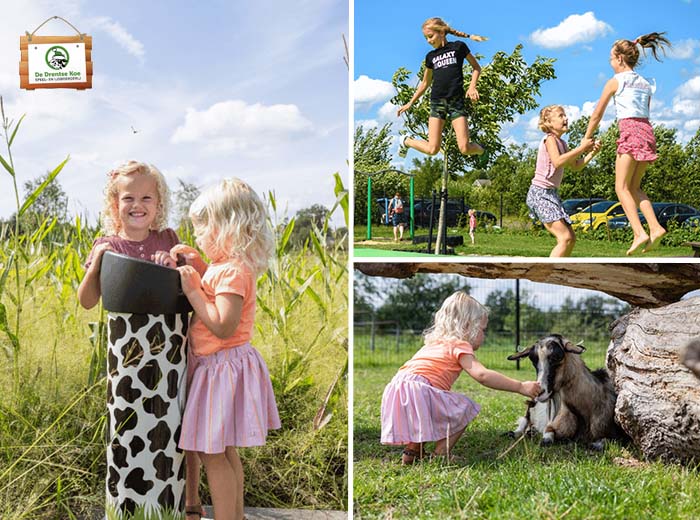 Entreeticket Speel en IJsboerderij De Drentse Koe