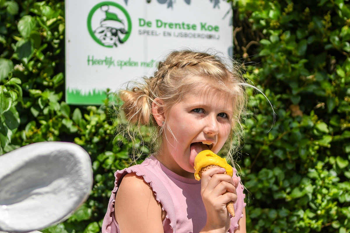 Entreeticket Speel en IJsboerderij De Drentse Koe