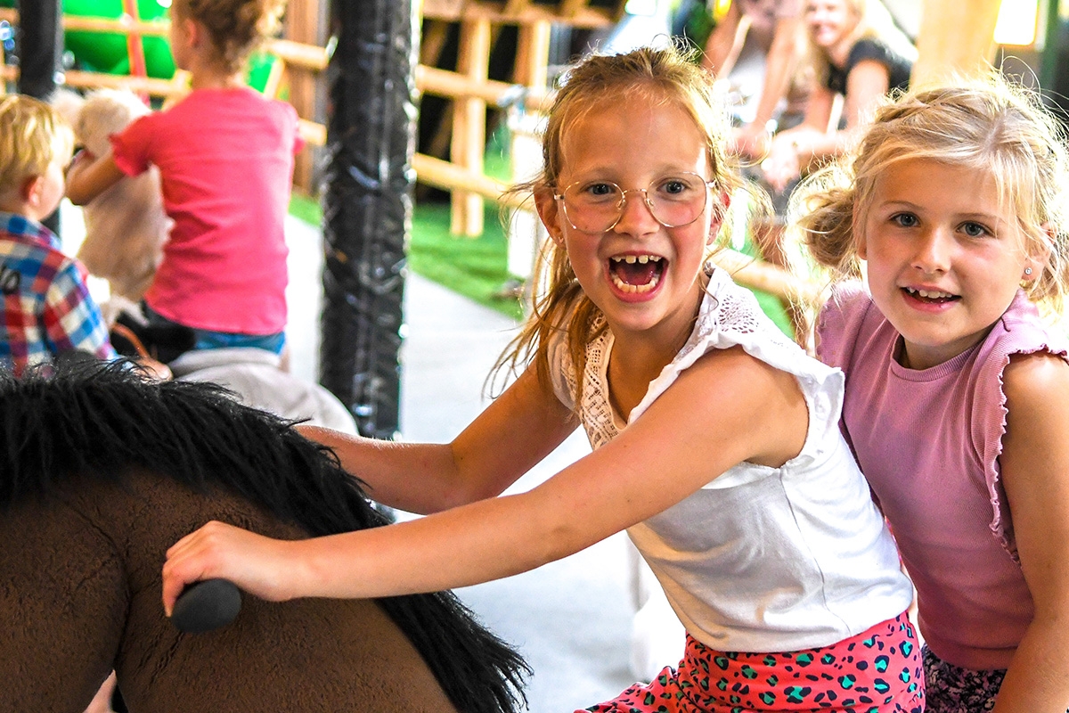 Entreeticket Speel en IJsboerderij De Drentse Koe