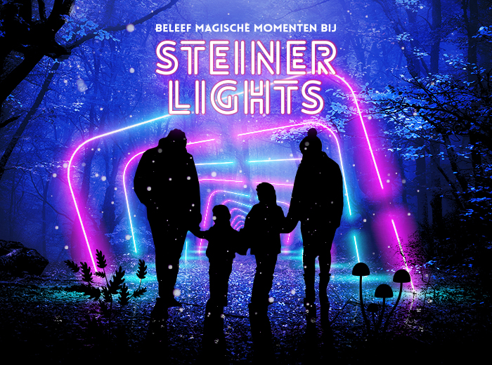 Entreeticket Steinerlights