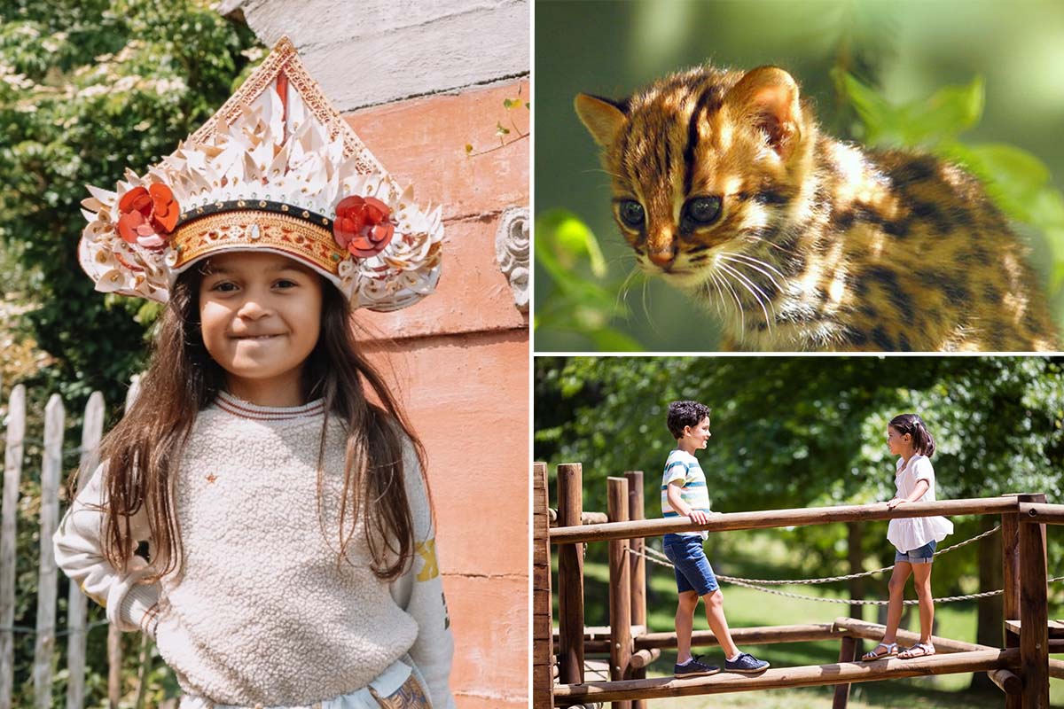 Entreeticket Taman Indonesia