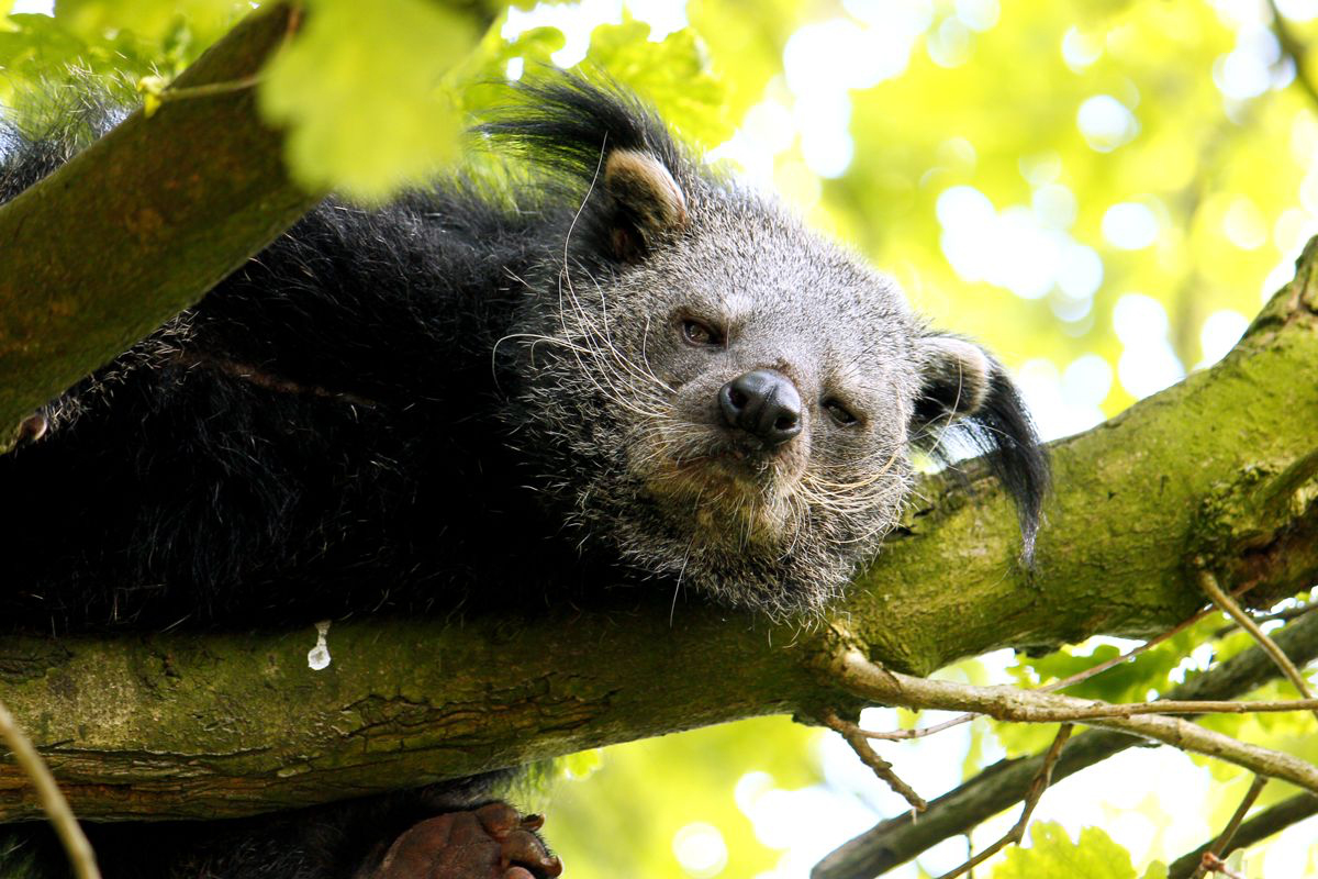 Entreeticket Taman Indonesia