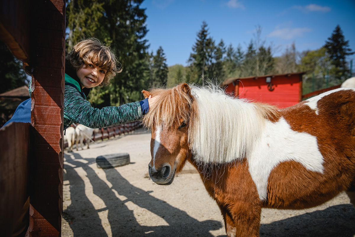 Entreeticket Taunus Wunderland