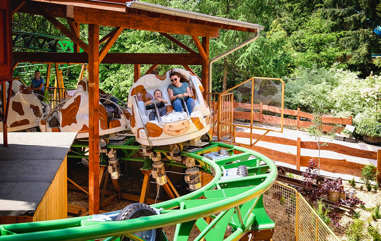 Entreeticket Taunus Wunderland