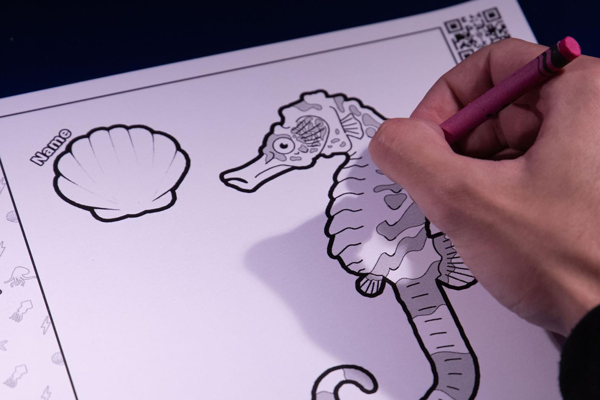 Entreeticket tentoonstelling Atlantis - The Immersive Odyssey