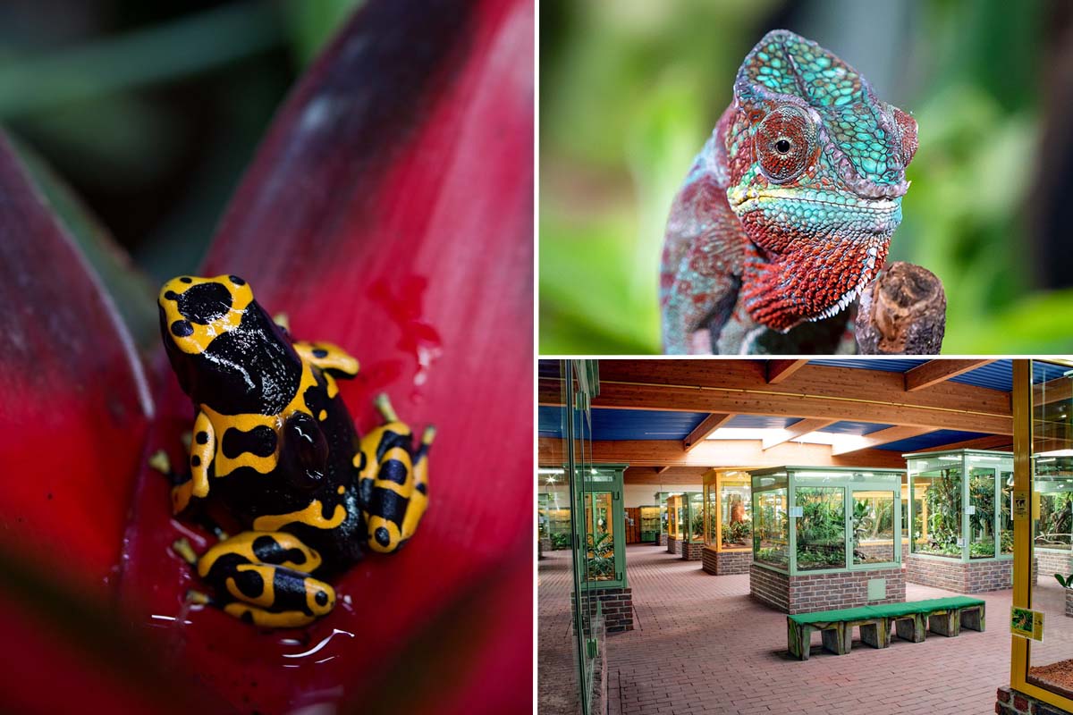 Entreeticket TerraZoo