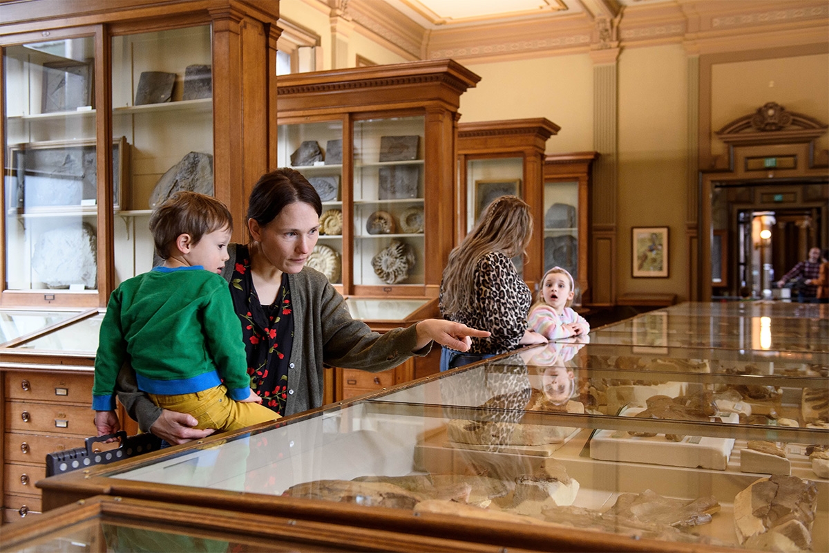 Entreeticket Teylers Museum