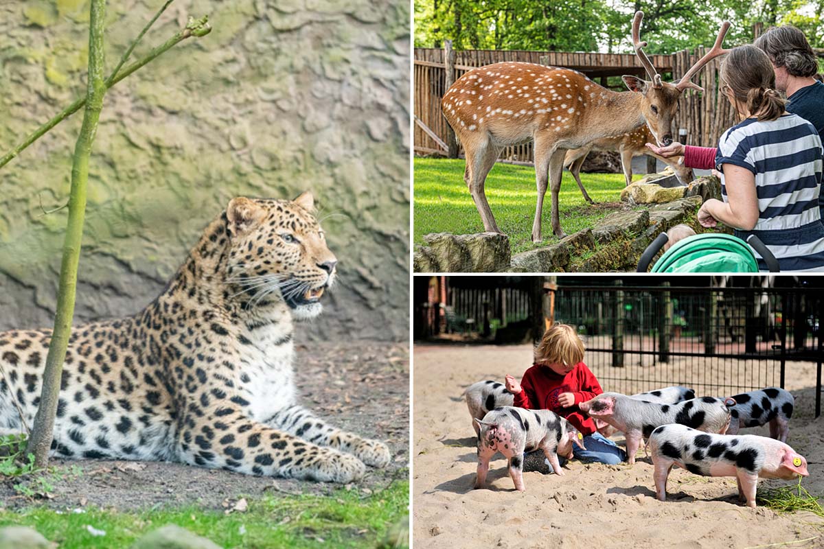 Entreeticket Tierpark Nordhorn