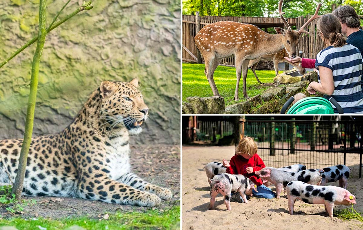 Entreeticket Tierpark Nordhorn