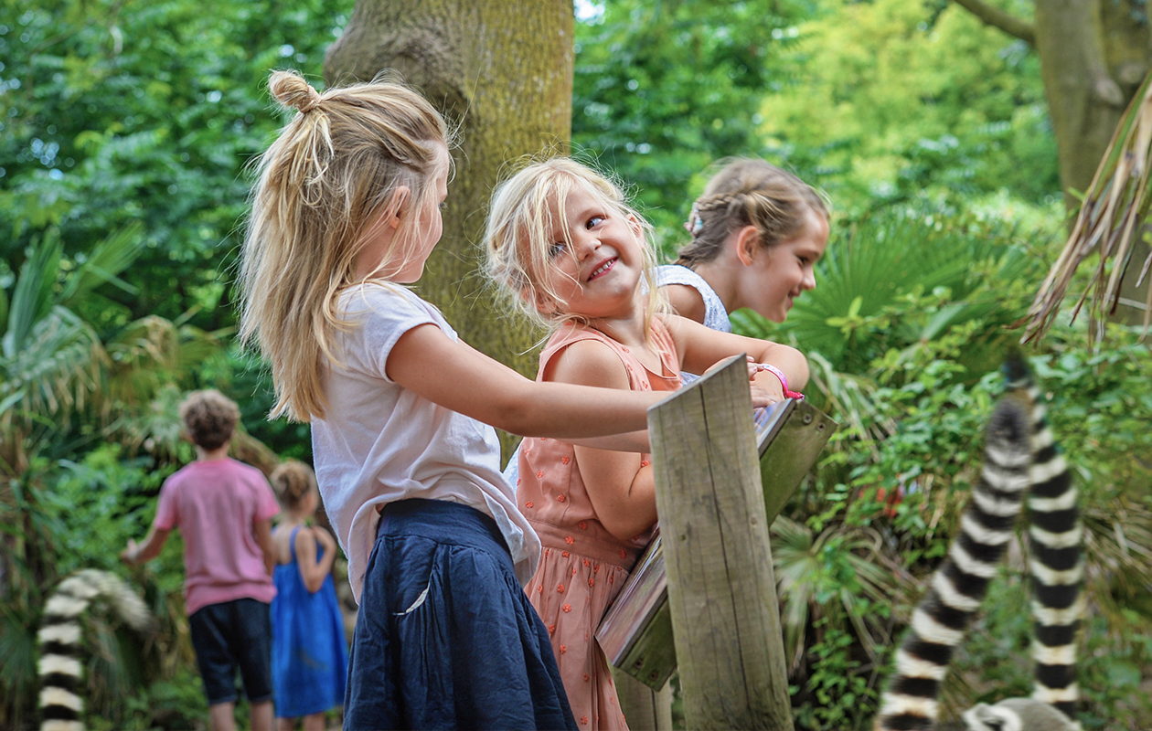 Découvrez le monde des oiseaux au parc d’oiseaux Avifauna!