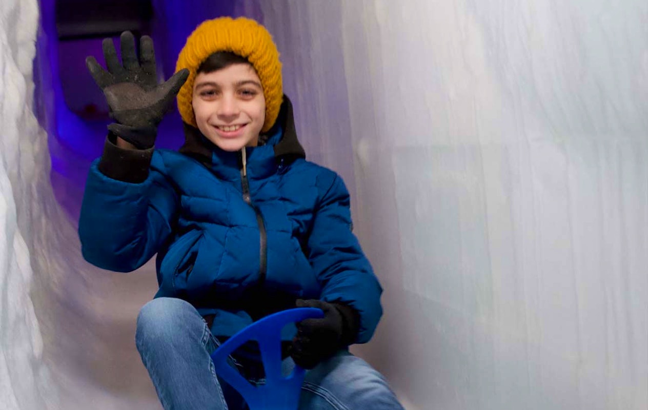Entreeticket IJsmuseum Icecarving