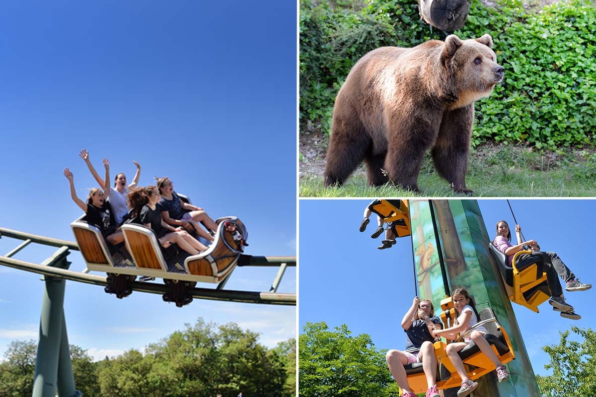 Billet d'entrée au Wild- & Freizeitpark Klotten