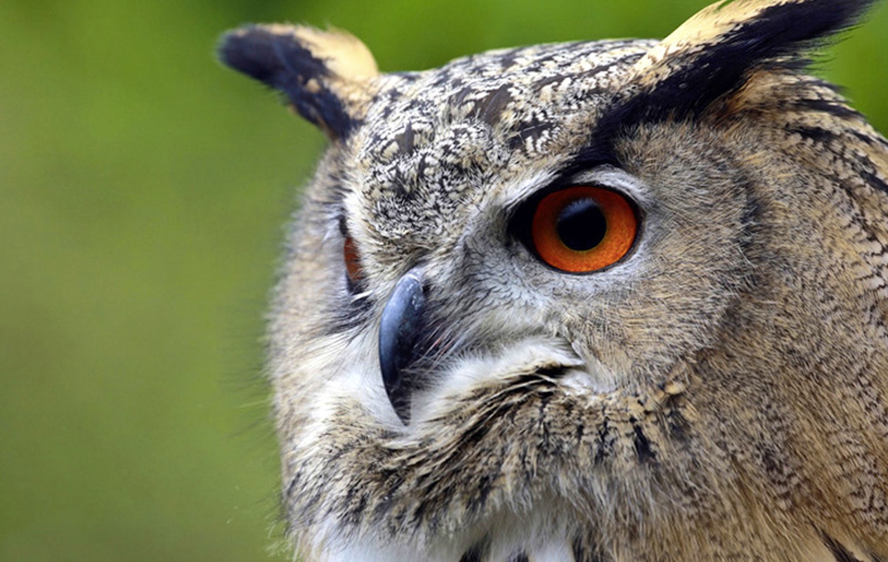 Entreeticket Wild- & Freizeitpark Klotten