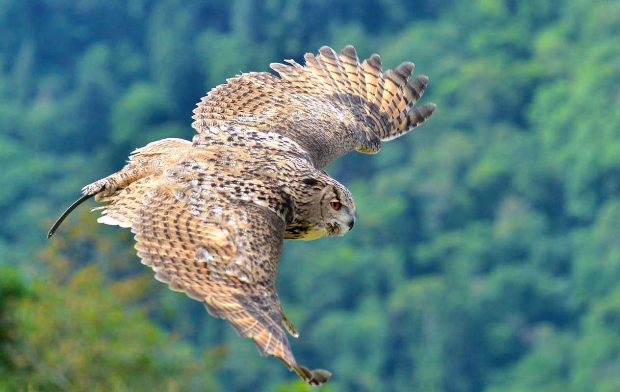 Entreeticket Wild- & Freizeitpark Klotten