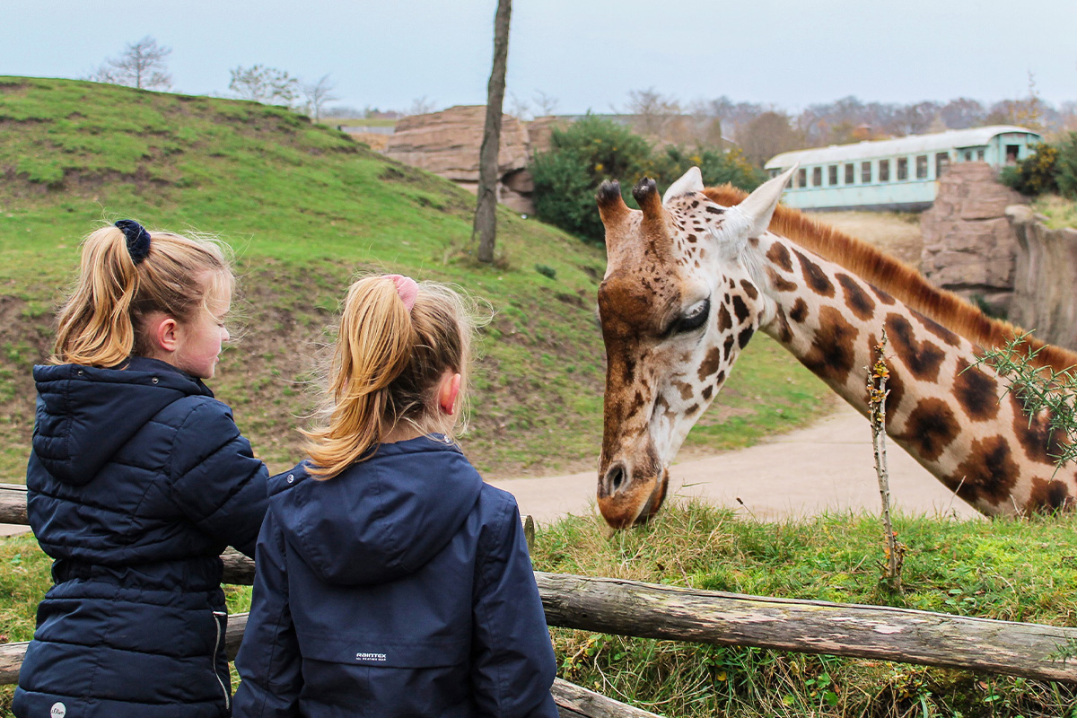 Entreeticket WILDLANDS Adventure Zoo