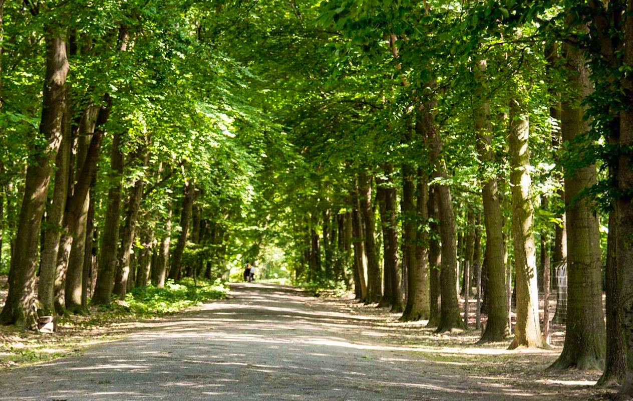 Entreeticket Wildpark Gangelt