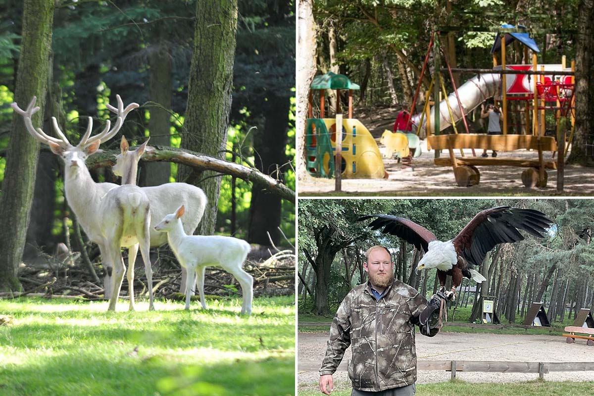 Toegangsticket Wildpark Gangelt