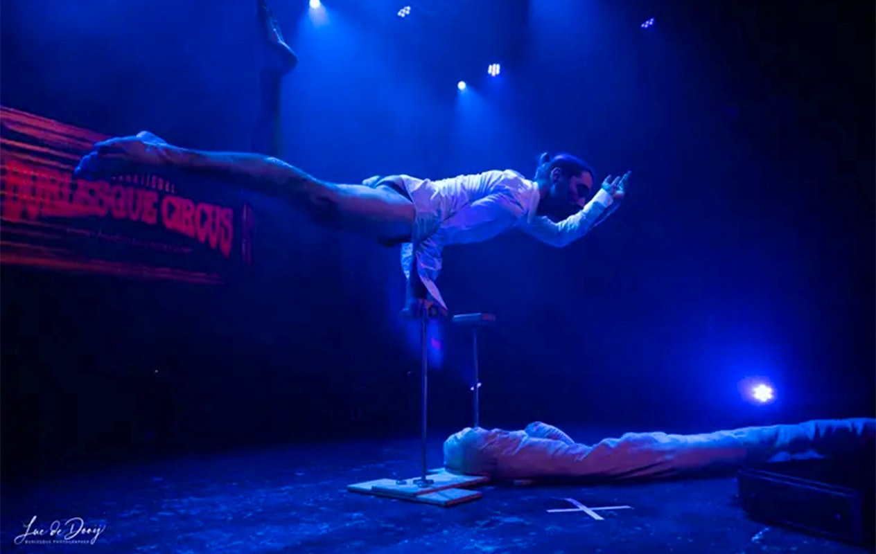 Entreeticket Wintercircus Meppel