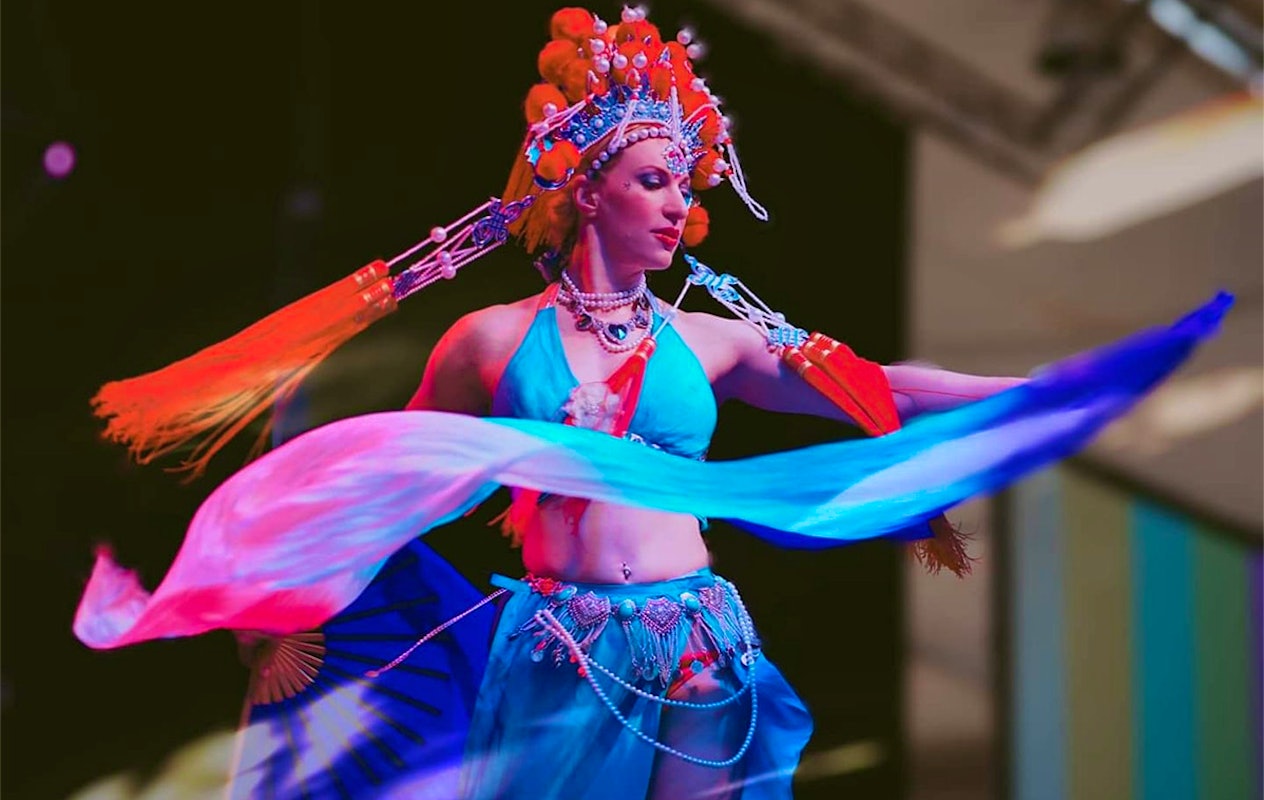 Entreeticket Wintercircus Meppel