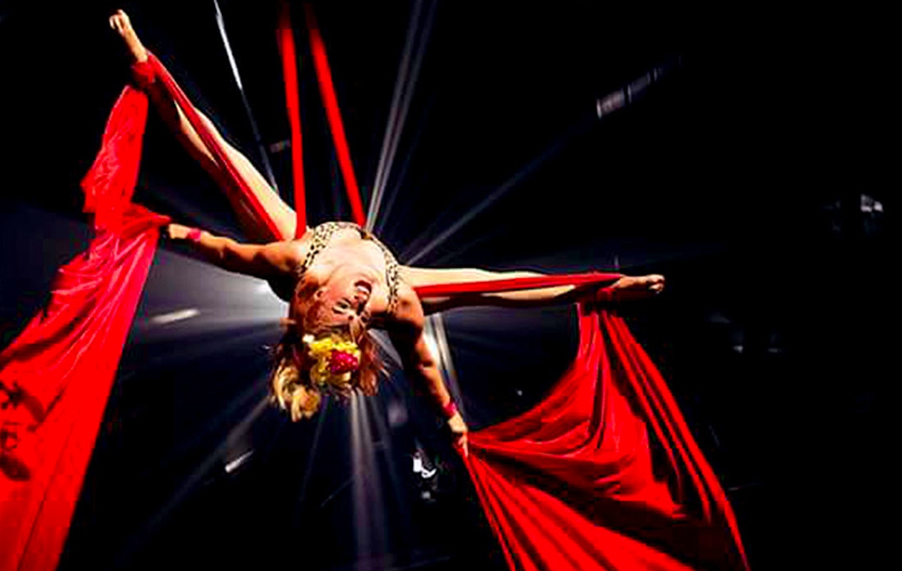 Entreeticket Wintercircus Meppel