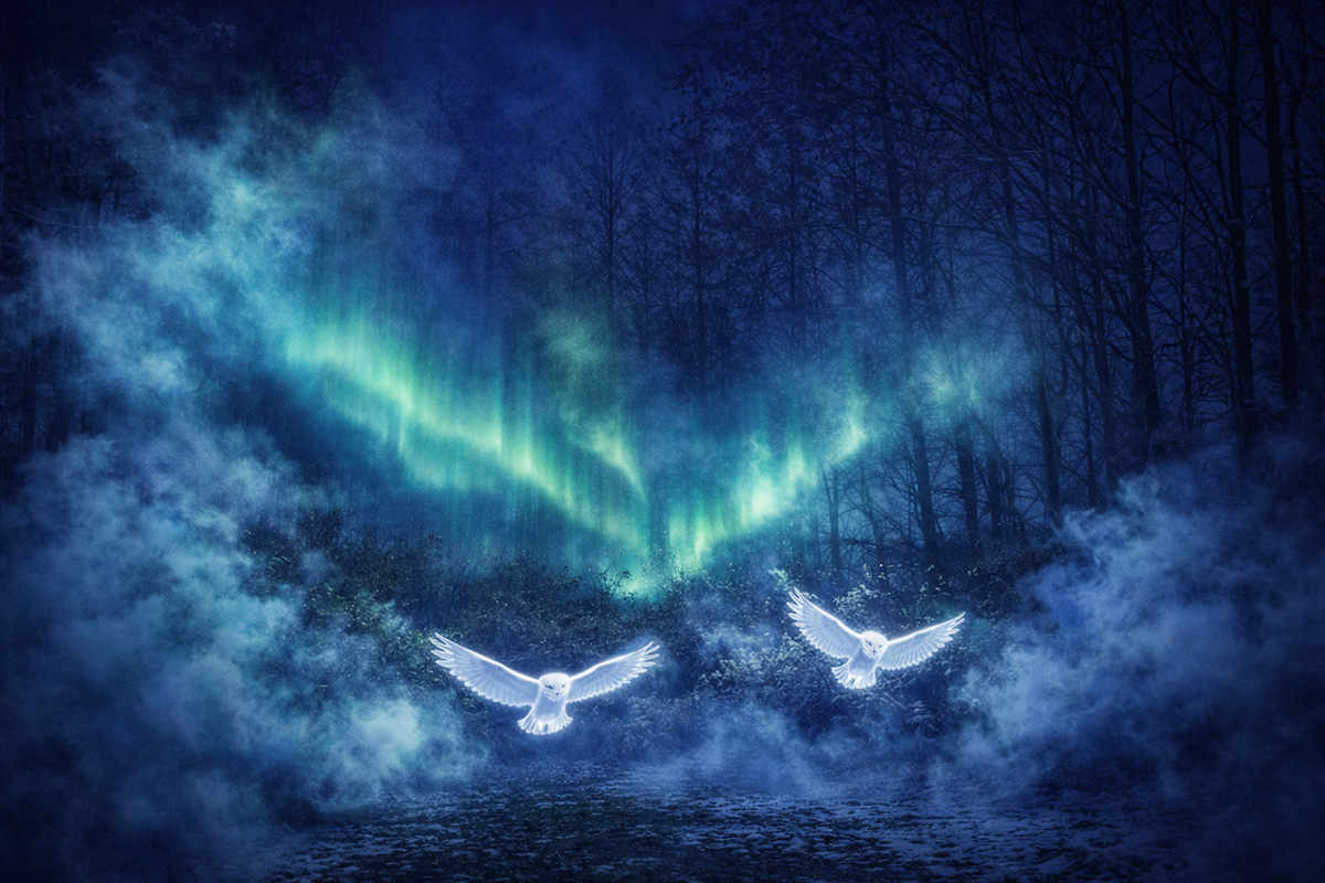 Entreeticket Winterheul
