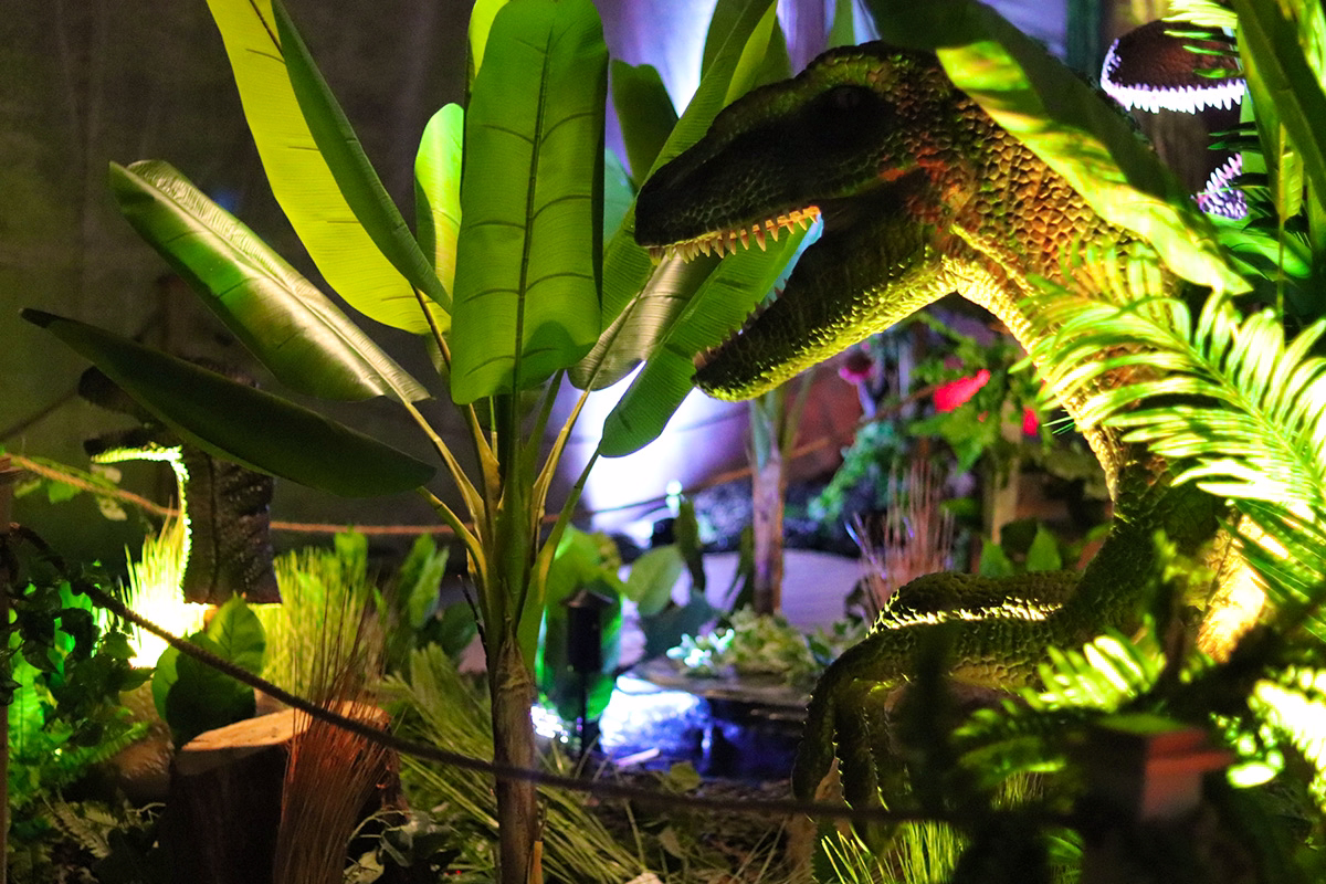 Ticket World of Dinos - The Expedition in Zandvoort (4-11 jaar)