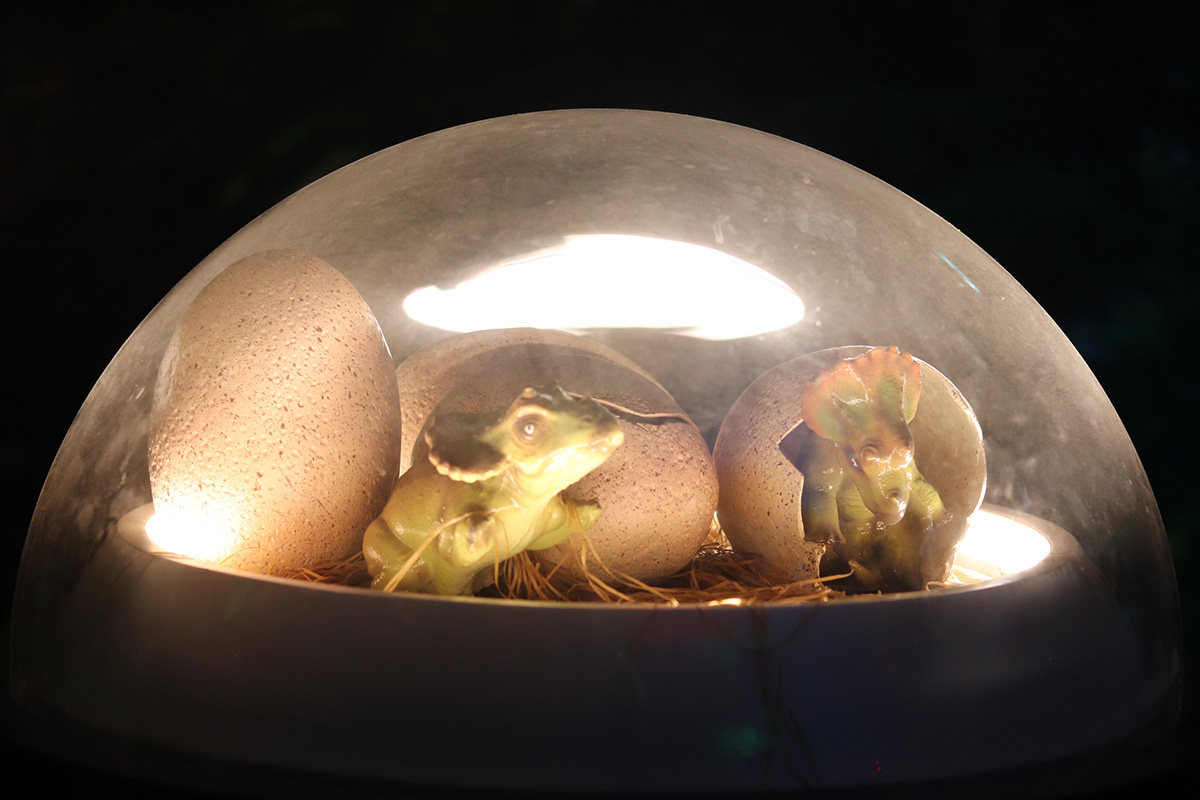 Entreeticket World of Dinos - The Expedition in Zandvoort