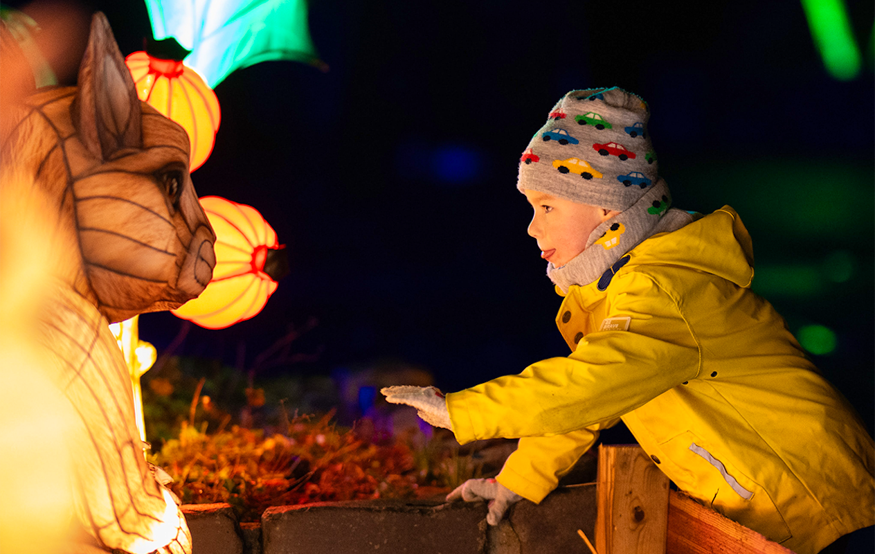 Entreeticket Wunderlight in Wunderland Kalkar