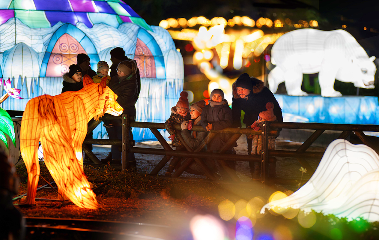 Entreeticket Wunderlight in Wunderland Kalkar