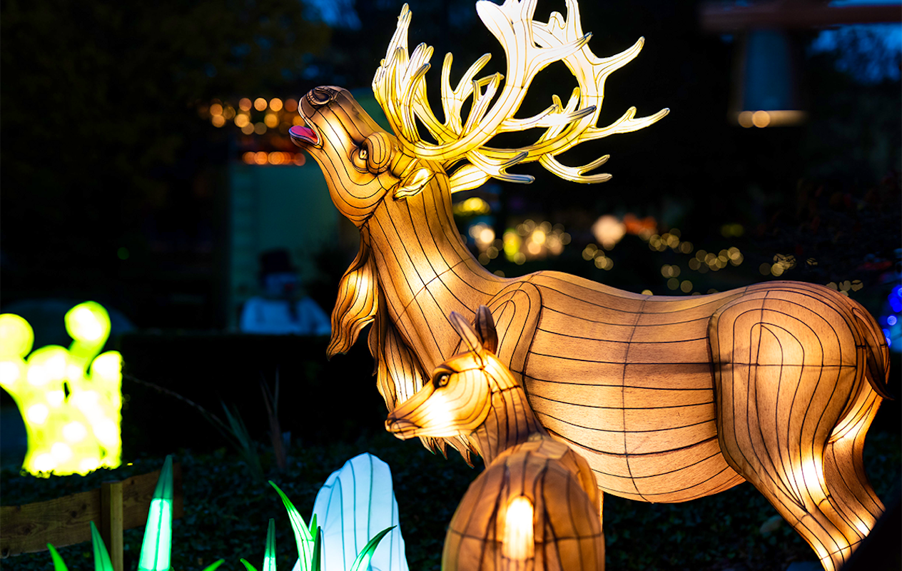 Entreeticket Wunderlight in Wunderland Kalkar