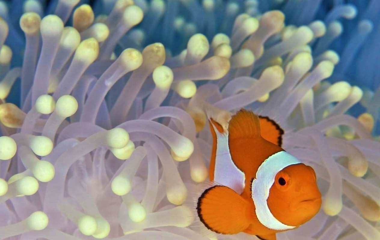 Entreeticket Zee Aquarium Bergen aan Zee