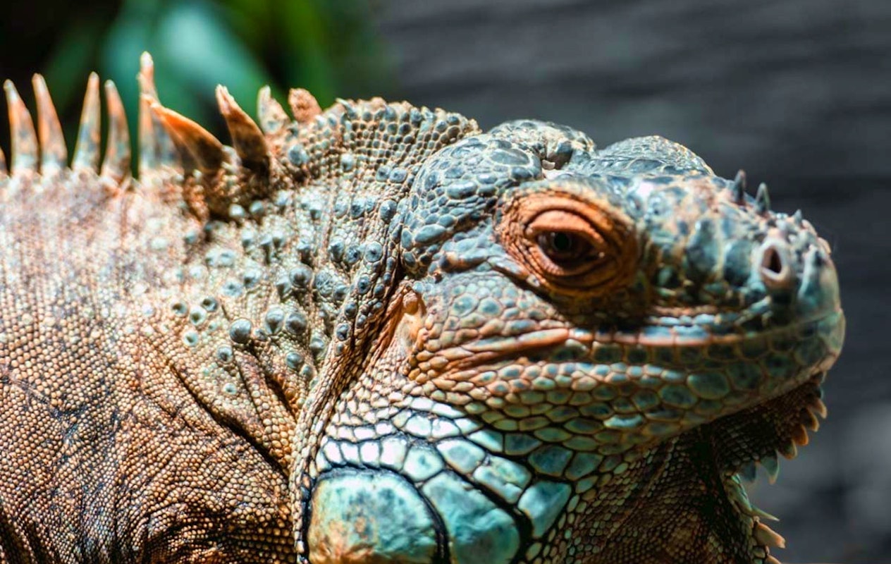 Entreeticket Zee Aquarium Bergen aan Zee