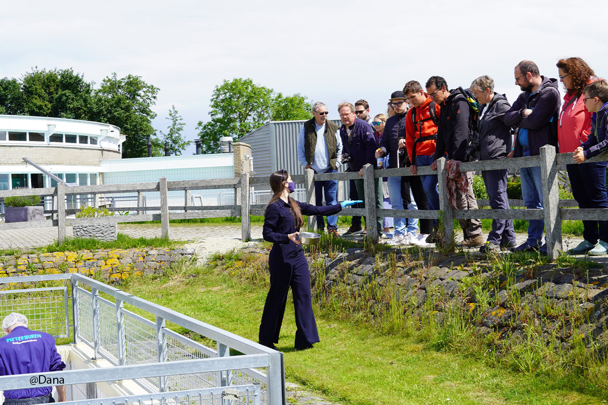 Entreeticket Zeehondencentrum Pieterburen