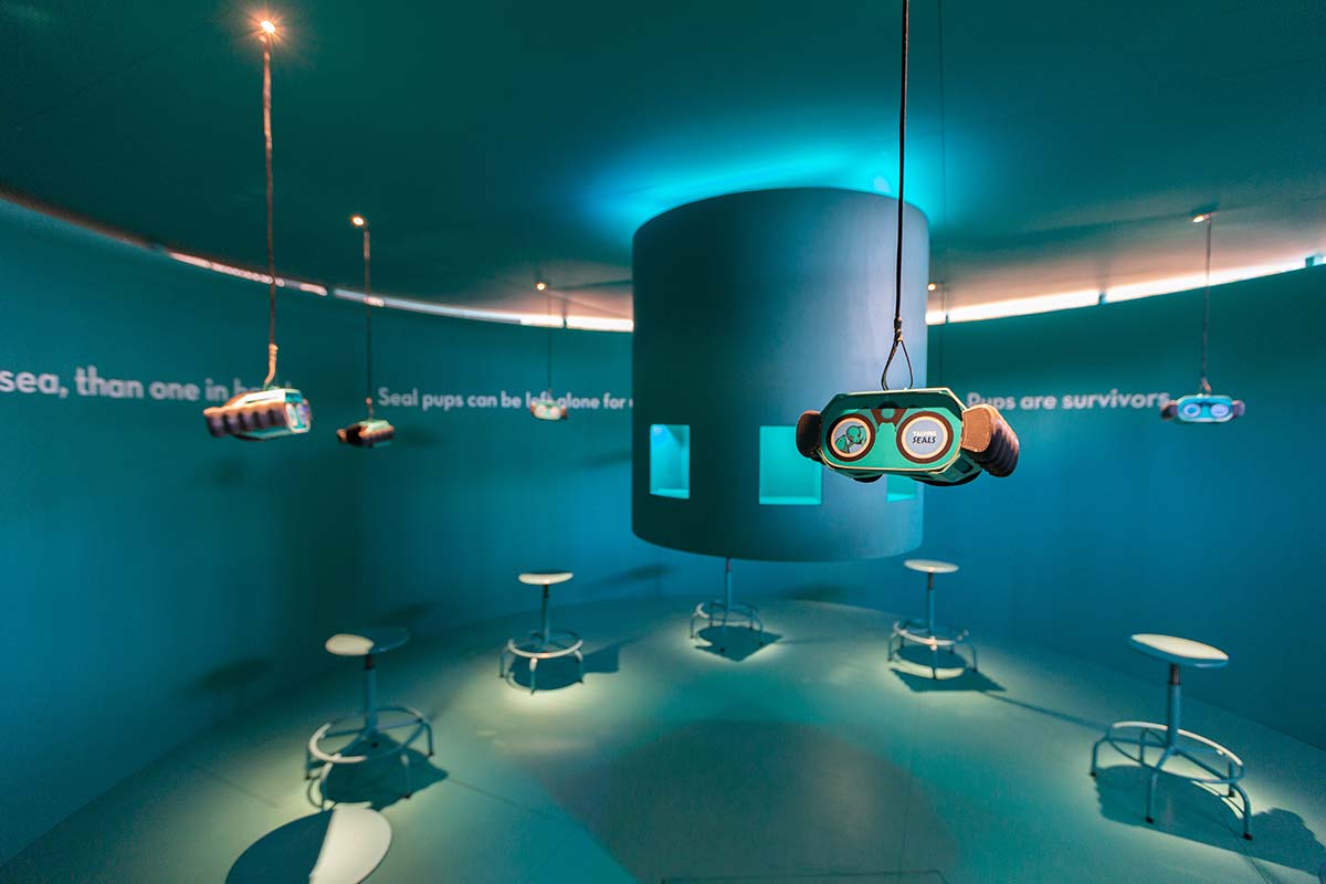 Entreeticket Zeehondencentrum Pieterburen