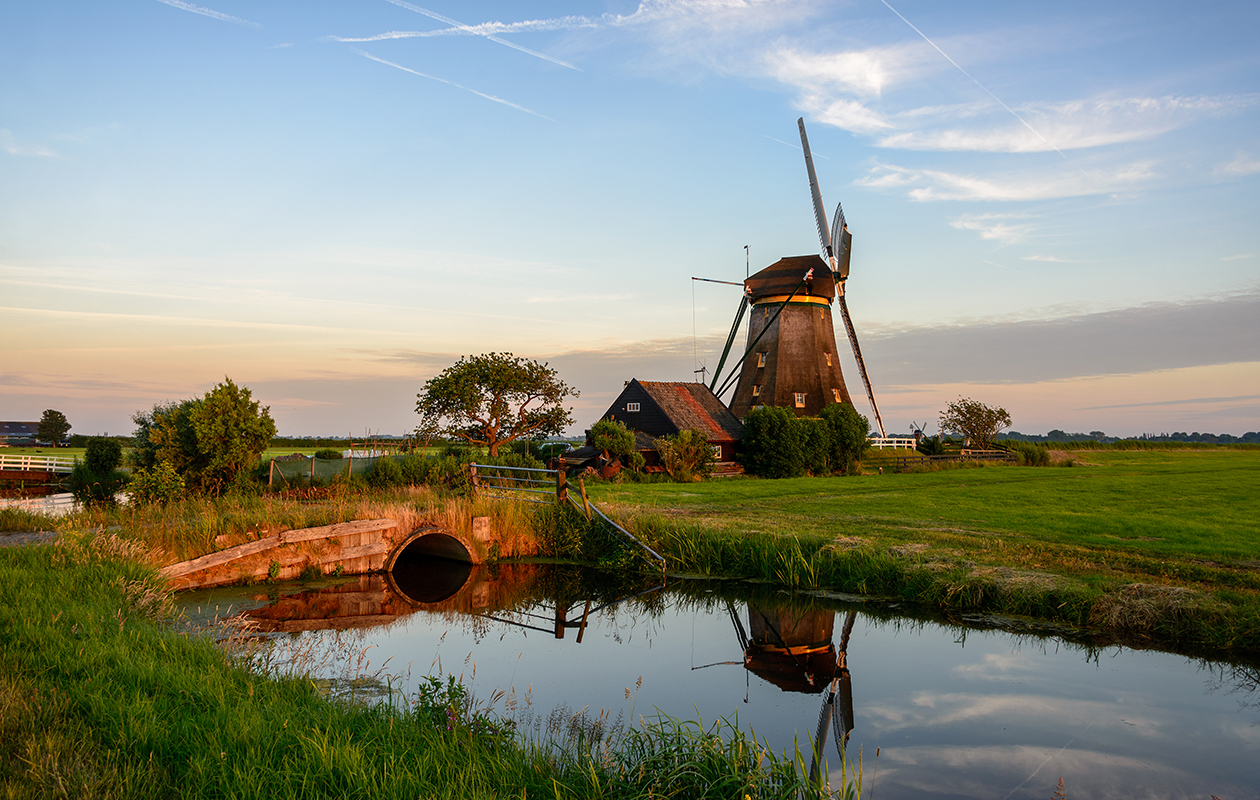 Zomer-Herfst Cruise, inclusief entree Dahliashowtuin