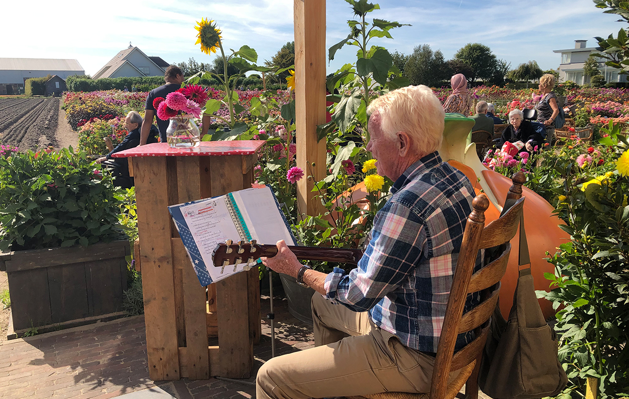 Zomer-Herfst Cruise, inclusief entree Dahliashowtuin