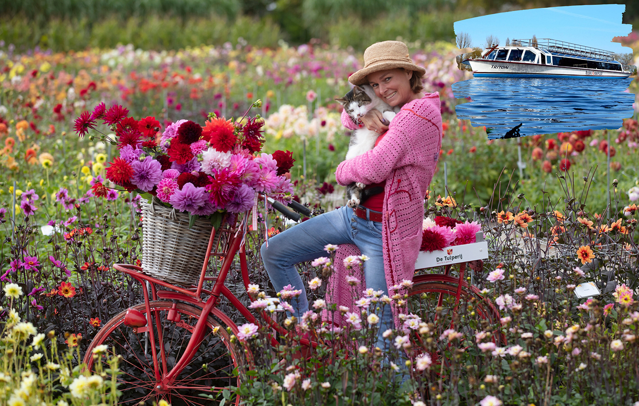 Zomer-Herfst Cruise, inclusief entree Dahliashowtuin